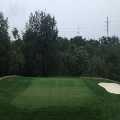 Putting Greens Bithlo Florida Artificial Turf Back Yard