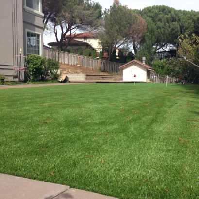 Putting Greens Center Hill Florida Fake Grass Front Yard