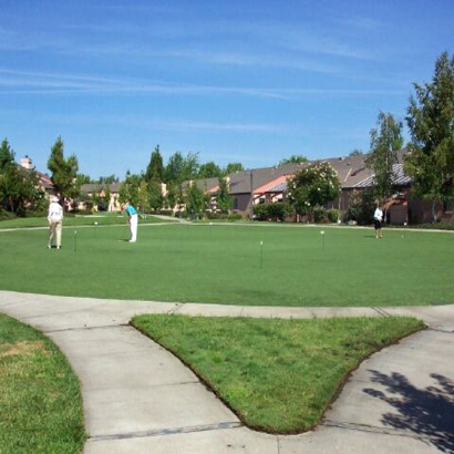 Putting Greens Haines City Florida Artificial Turf Back