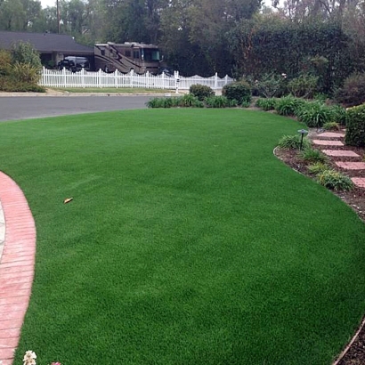 Synthetic Grass Campbell Florida Lawn Pools Back Yard