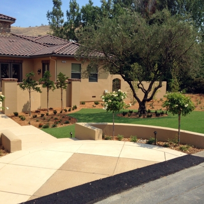 Synthetic Grass DeBary Florida Landscape Back Yard