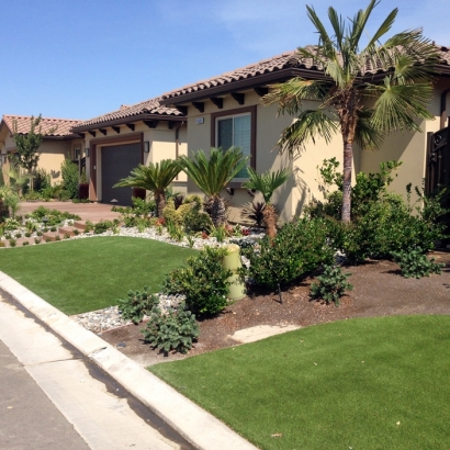 Synthetic Grass Dundee Florida Landscape Back Yard