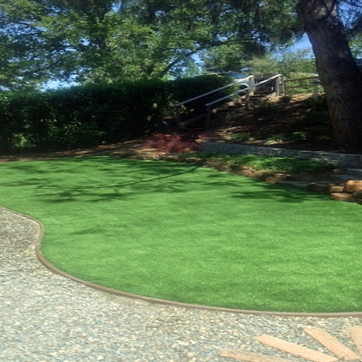 Synthetic Grass Lake Panasoffkee Florida Landscape