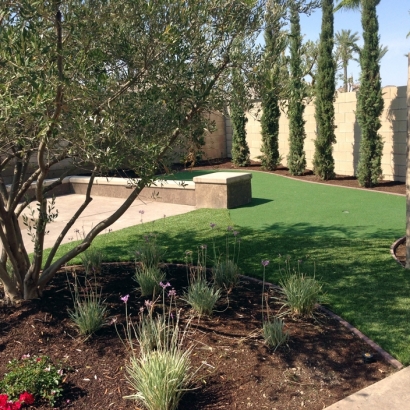 Synthetic Grass Ocoee Florida Landscape Commercial Landscape