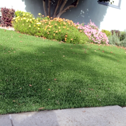 Synthetic Grass Trilby Florida Lawn Back Yard