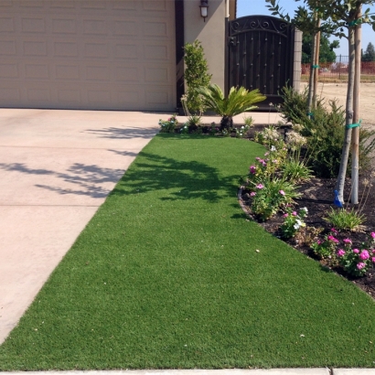 Synthetic Turf Clermont Florida Lawn Back Yard