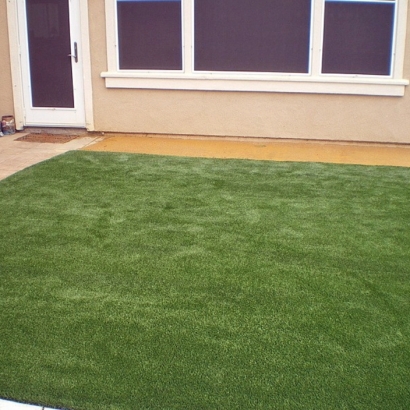 Synthetic Turf Crooked Lake Park Florida Lawn Front Yard