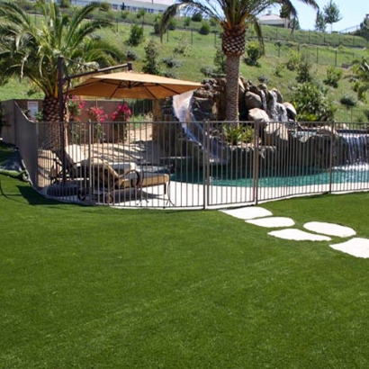 Synthetic Turf Doctor Phillips Florida Lawn Grass for Dogs