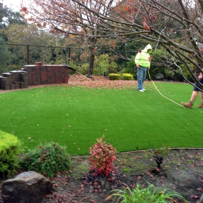 Synthetic Turf Inwood Florida Lawn Commercial Landscape