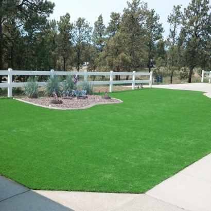 Synthetic Turf Lockhart Florida Lawn Front Yard