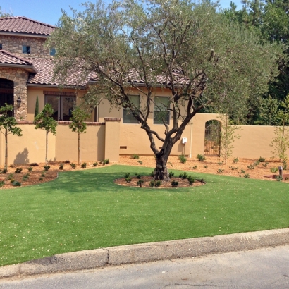 Synthetic Turf Longwood Florida Landscape Front Yard