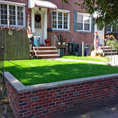 Synthetic Turf Mount Plymouth Florida Landscape Back Yard