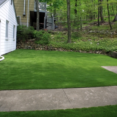 Synthetic Turf Mount Plymouth Florida Lawn Front Yard