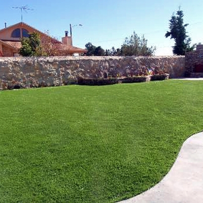 Synthetic Turf Palm Shores Florida Landscape Back Yard