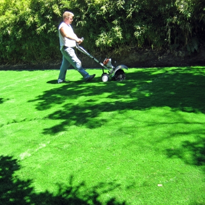 Synthetic Turf Rockledge Florida Landscape