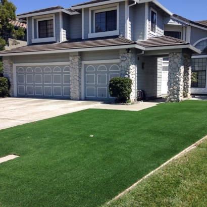 Synthetic Turf South Apopka Florida Landscape