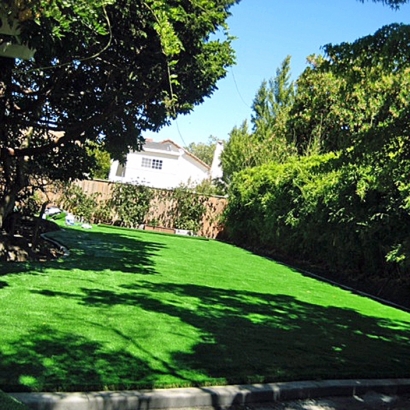 Synthetic Turf Tangelo Park Florida Landscape Back Yard