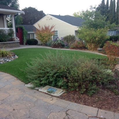 Synthetic Turf The Villages Florida Landscape Back Yard