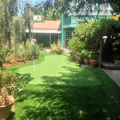 Synthetic Turf Wahneta Florida Lawn Front Yard