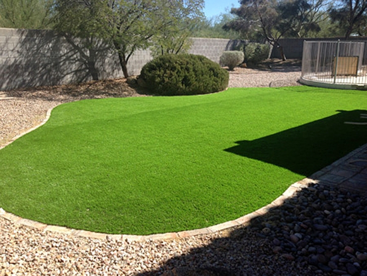 Artificial Grass Astor Florida Landscape Back Yard