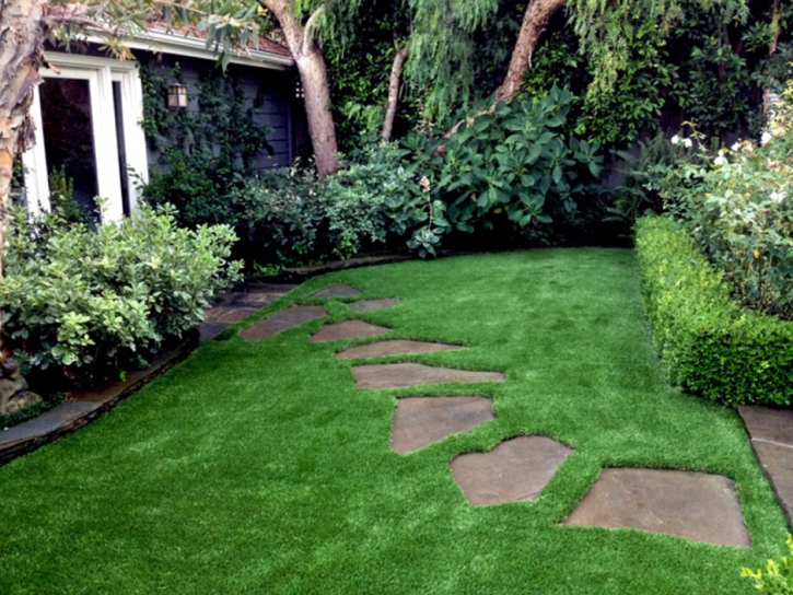 Artificial Grass Cape Canaveral Florida Landscape Parks