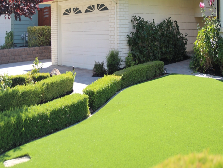 Artificial Grass Center Hill Florida Landscape Front Yard