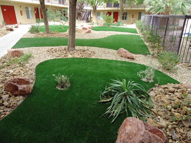 Artificial Grass Christmas Florida Landscape Back Yard