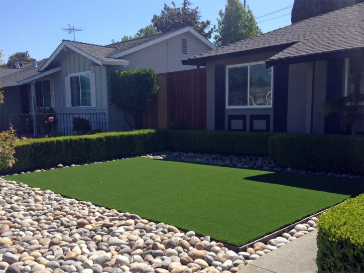 Artificial Grass Clarcona Florida Lawn Commercial Landscape