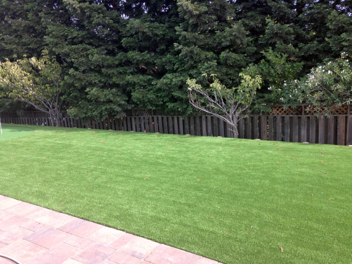 Artificial Grass Cocoa West Florida Lawn Back Yard