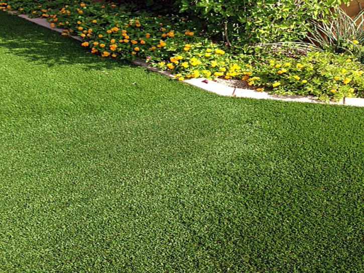 Artificial Grass Coleman Florida Lawn