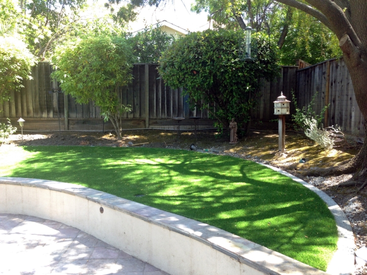 Artificial Grass Cypress Gardens Florida Lawn Pavers Back