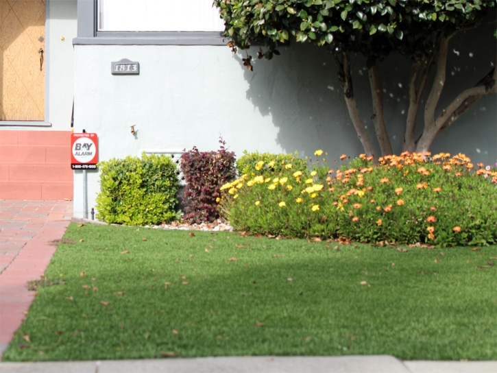 Artificial Grass Daytona Beach Shores Florida Lawn Front