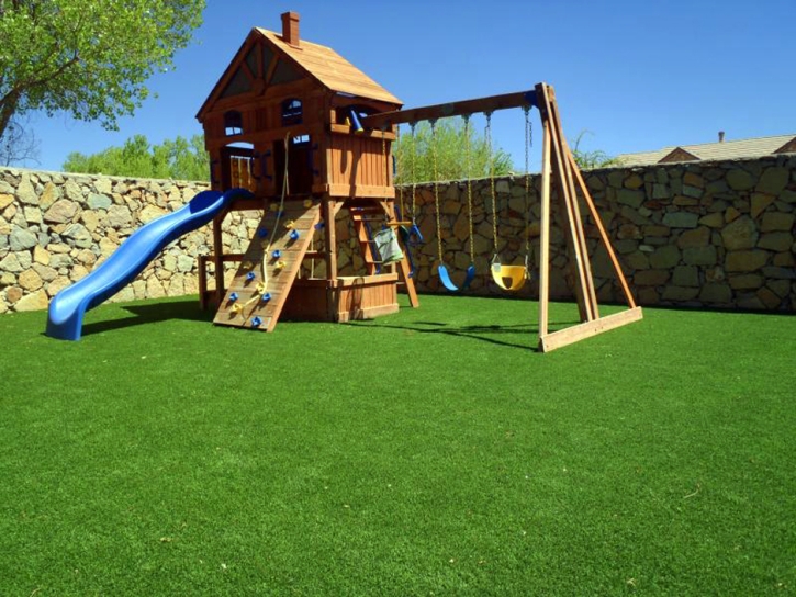 Artificial Grass Deltona Florida Kids Care Commercial Landscape