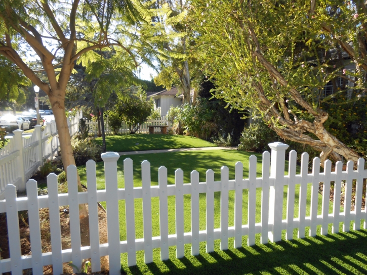 Artificial Grass Eustis Florida Landscape Fountans Back