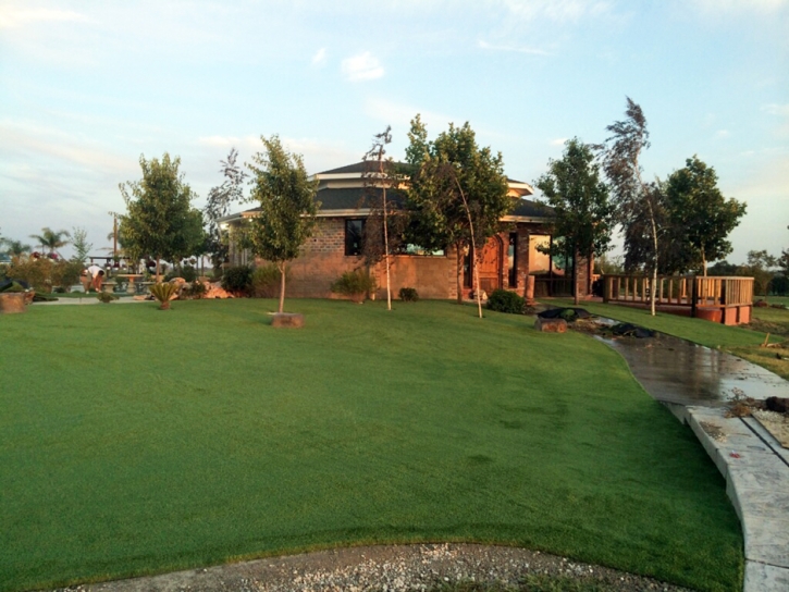 Artificial Grass Fern Park Florida Landscape Back Yard