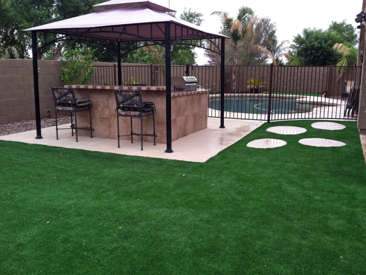 Artificial Grass Fern Park Florida Landscape Commercial