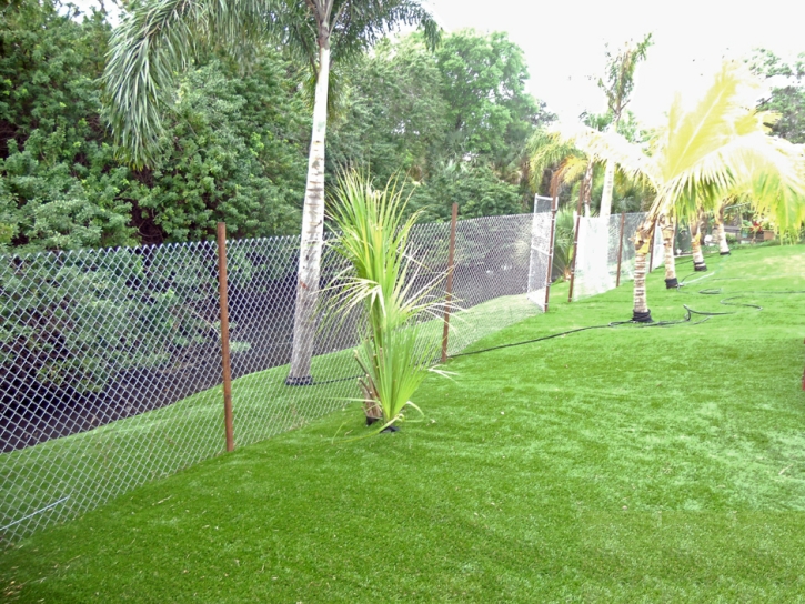 Artificial Grass Ferndale Florida Lawn Front Yard