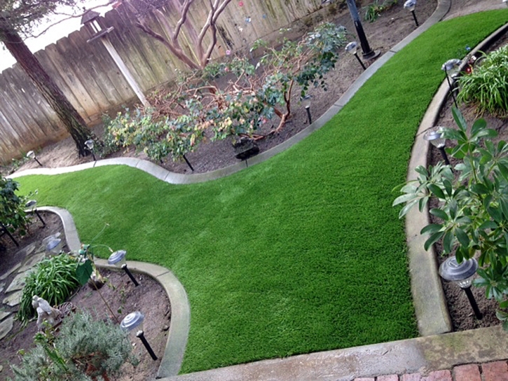 Artificial Grass Frostproof Florida Lawn