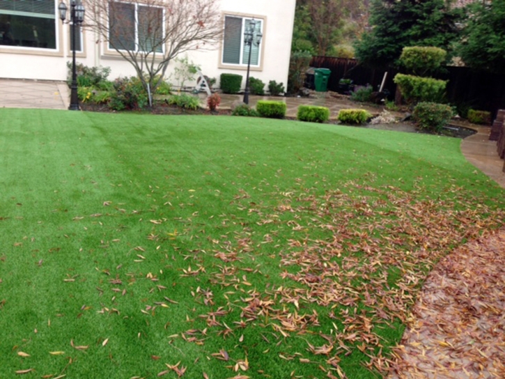 Artificial Grass Gibsonia Florida Lawn Back Yard