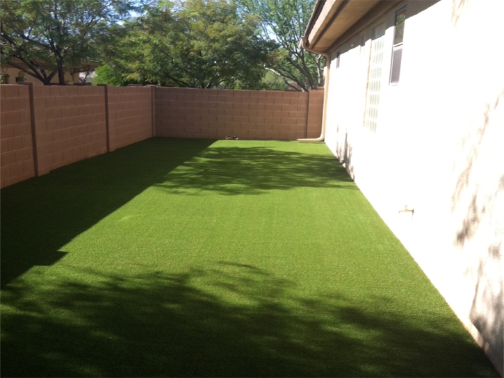 Artificial Grass Glencoe Florida Landscape Back Yard