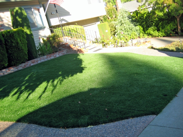 Artificial Grass Glencoe Florida Lawn Front Yard