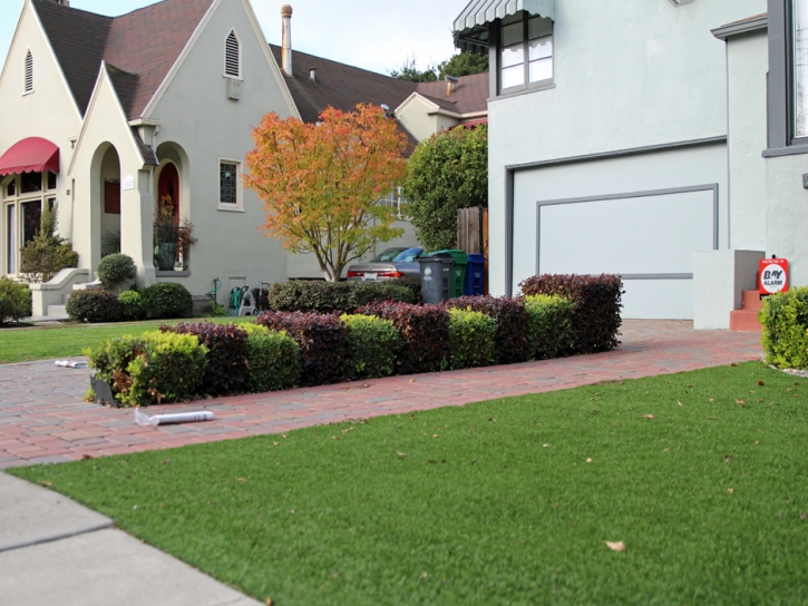 Artificial Grass Highland City Florida Landscape Back Yard