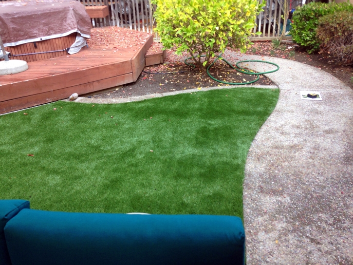 Artificial Grass Highland City Florida Lawn Front Yard