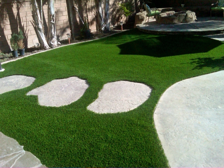 Artificial Grass Hillcrest Heights Florida Lawn Back Yard