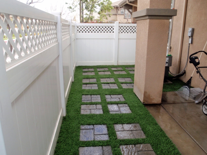 Artificial Grass Indian Harbour Beach Florida Landscape