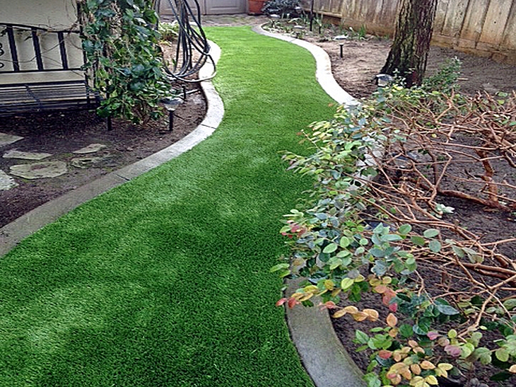 Artificial Grass Istachatta Florida Landscape Back Yard