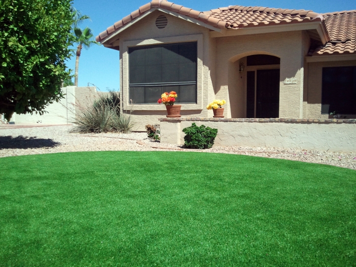 Artificial Grass Jan-Phyl Village Florida Lawn Front Yard