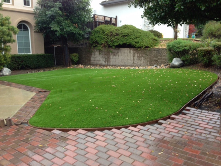 Artificial Grass Kathleen Florida Landscape Front Yard