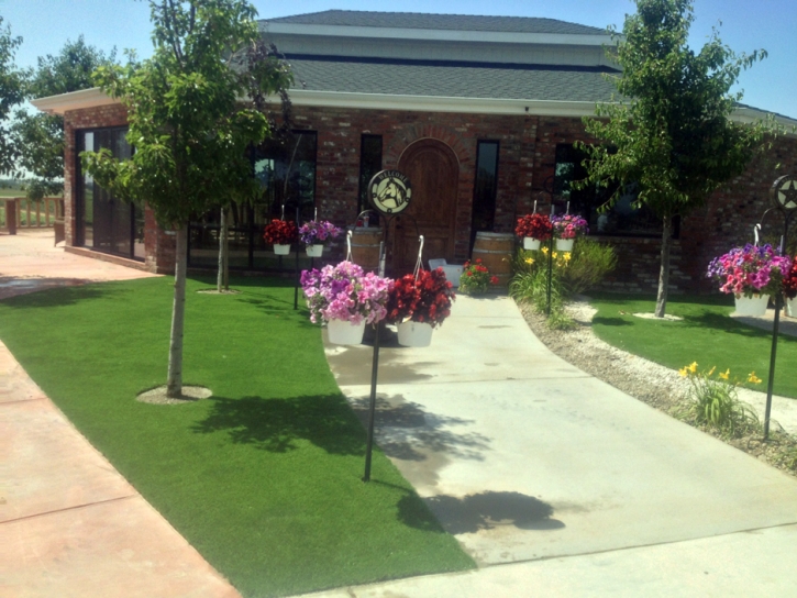 Artificial Grass Lake Butler Florida Landscape Front Yard