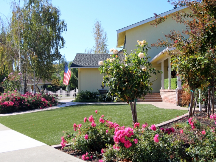 Artificial Grass Lake Hamilton Florida Landscape Fountans